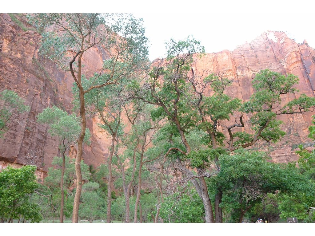    (Zion National Park).